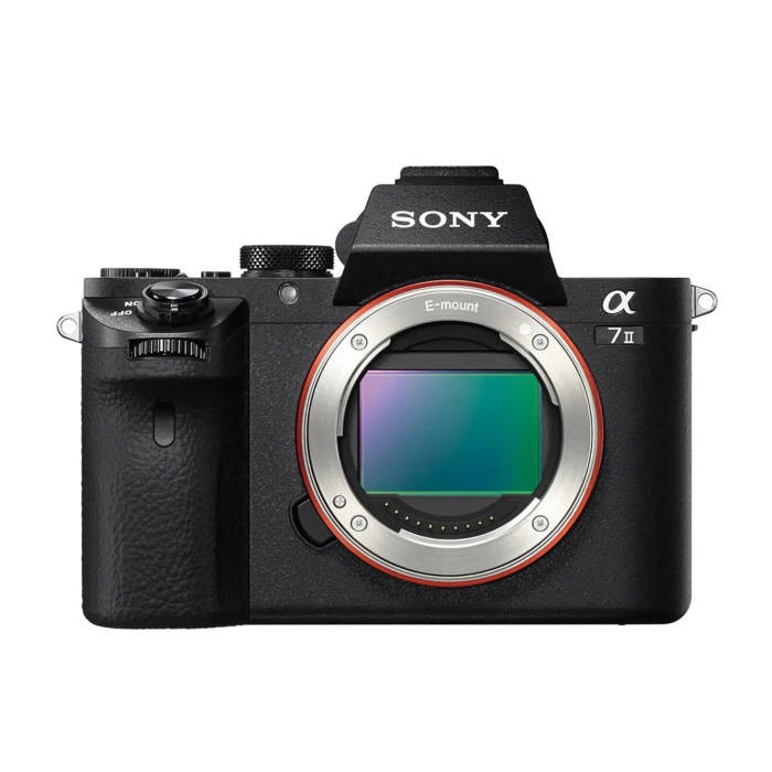 Alpha 7 II - Full-frame Interchangeable Lens Camera 24.2MP, 5FPS, Full HD 1080p
